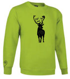 Sudadera sin capucha - Caribú